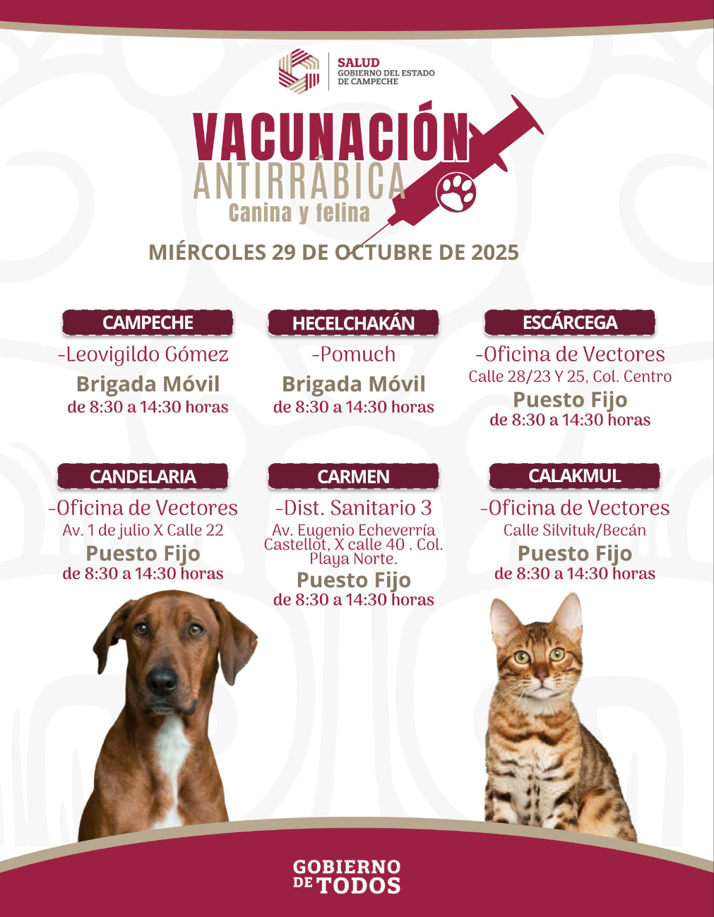 La jornada se realizará de 8:30 a 14:30 horas, con puestos fijos y brigadas móviles. La jornada se realizará de 8:30 a 14:30 horas, con puestos fijos y brigadas móviles.