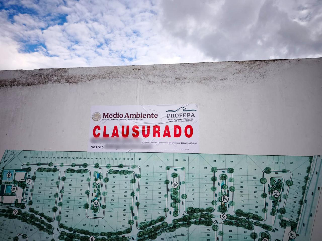 Suman casi 200 procedimientos administrativos en Yucatán por infracciones ambientales en lo que va del 2025