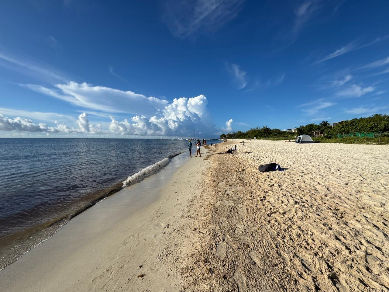 Activistas han expuesto el peligro ante dichas labores