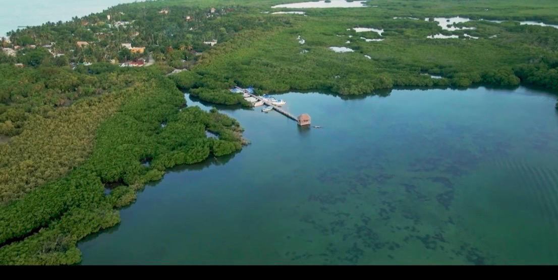 Arquitectos advierten que el Gobierno busca controlar y aislar a la población local; Tulum ya mostró ese claro autoritarismo Arquitectos advierten que el Gobierno busca controlar y aislar a la población local; Tulum ya mostró ese claro autoritarismo