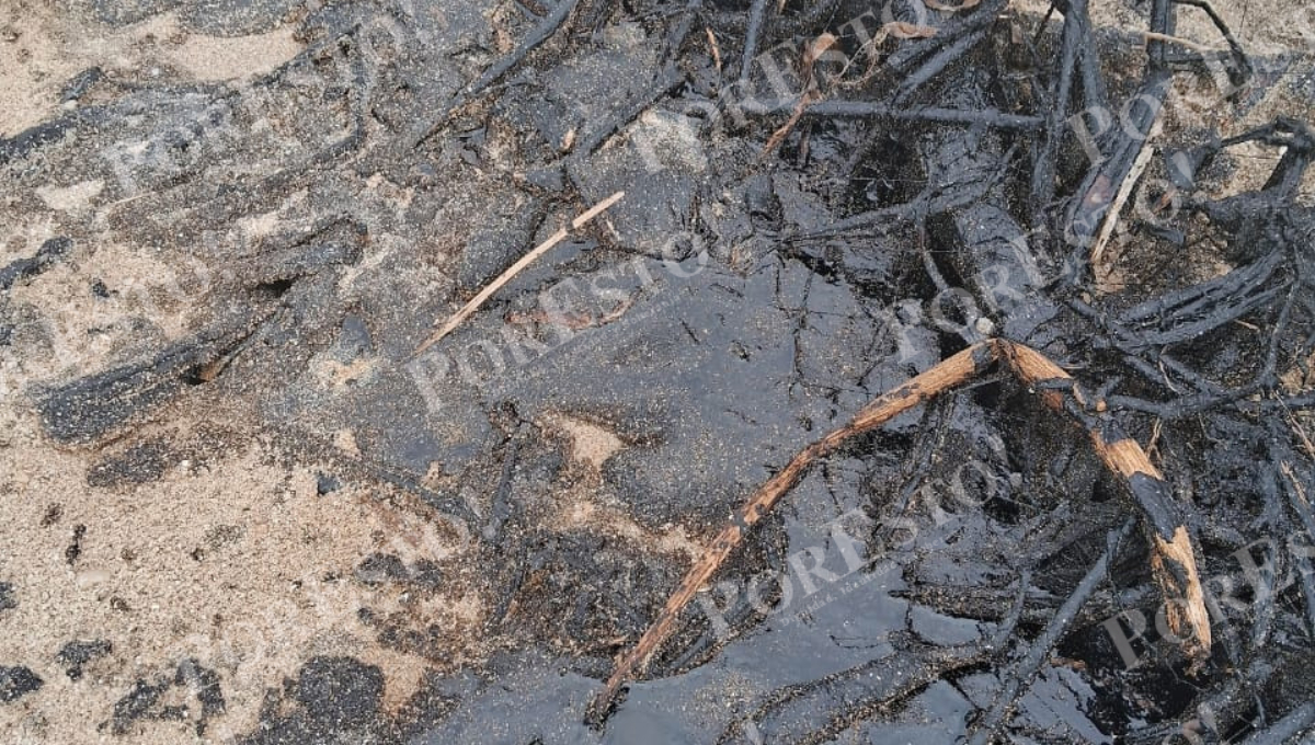 Los derrames son atribuidos oficialmente a “chapopoteras naturales”, pero los pescadores afirman que provienen de operaciones petroleras cercanas Los derrames son atribuidos oficialmente a “chapopoteras naturales”, pero los pescadores afirman que provienen de operaciones petroleras cercanas