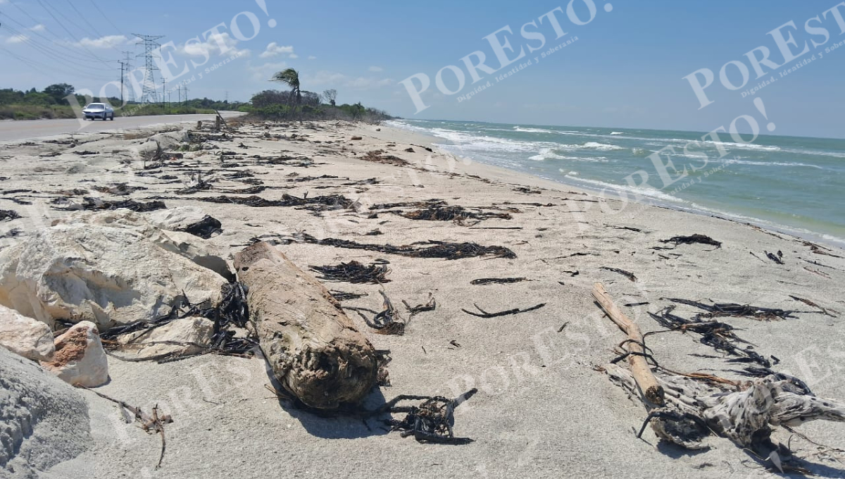 Los pescadores piden empleos temporales de limpieza y apoyo para continuar las acciones de restauración costera. Los pescadores piden empleos temporales de limpieza y apoyo para continuar las acciones de restauración costera.