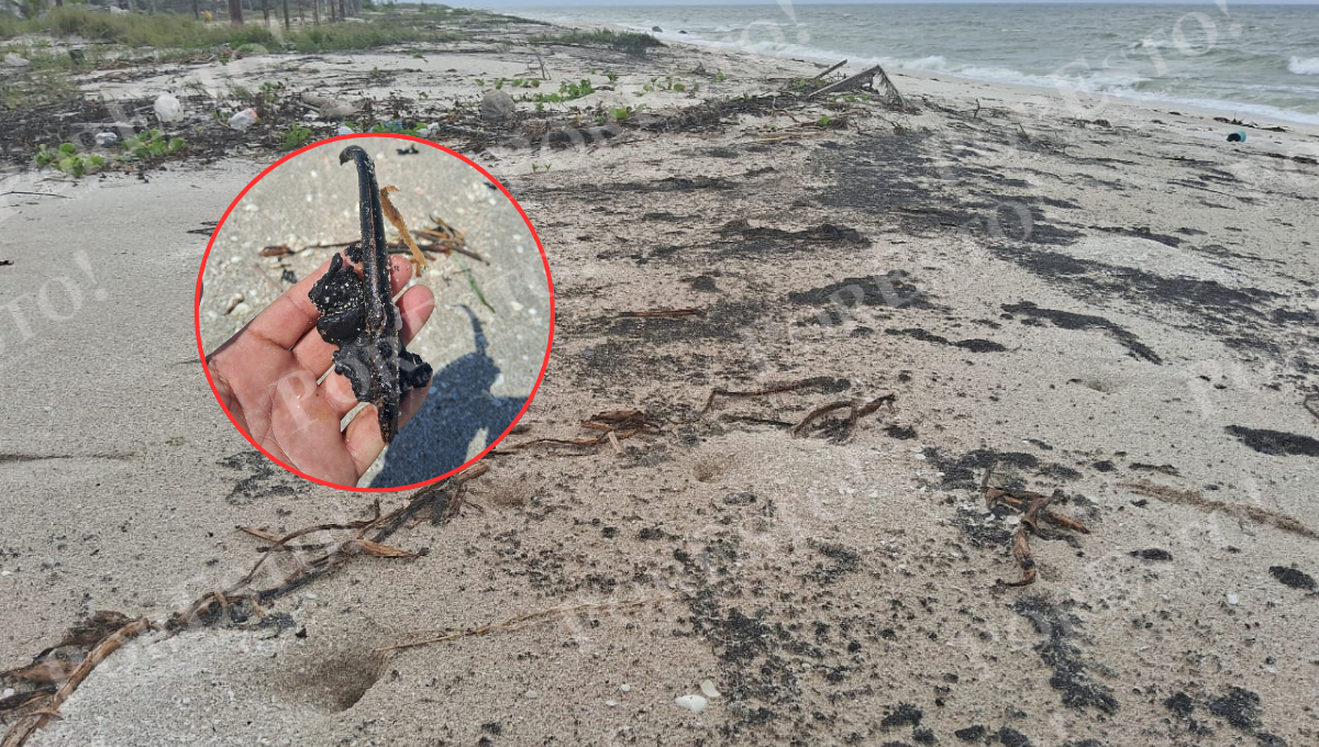 Pescadores de Isla Aguada denuncian nuevos derrames de petróleo sin atención oficial Pescadores de Isla Aguada denuncian nuevos derrames de petróleo sin atención oficial