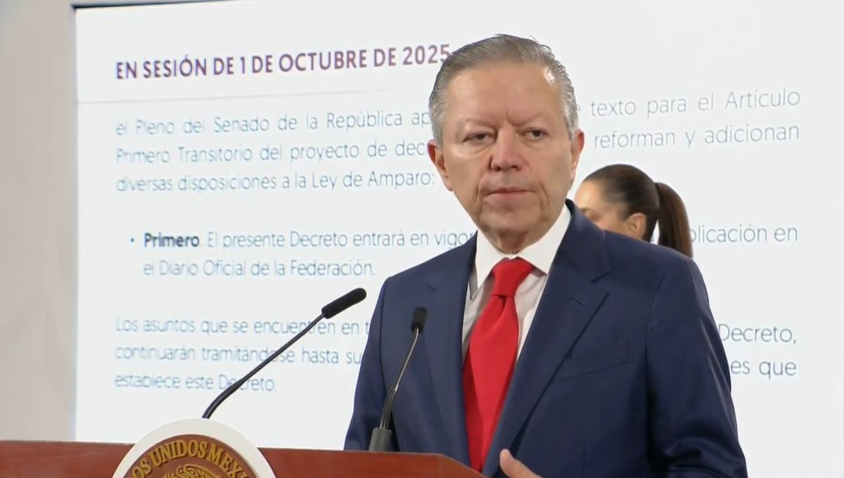 Arturo Zaldívar lelo de Larrea, Coordinador General de Política y Gobierno de la Presidencia de México