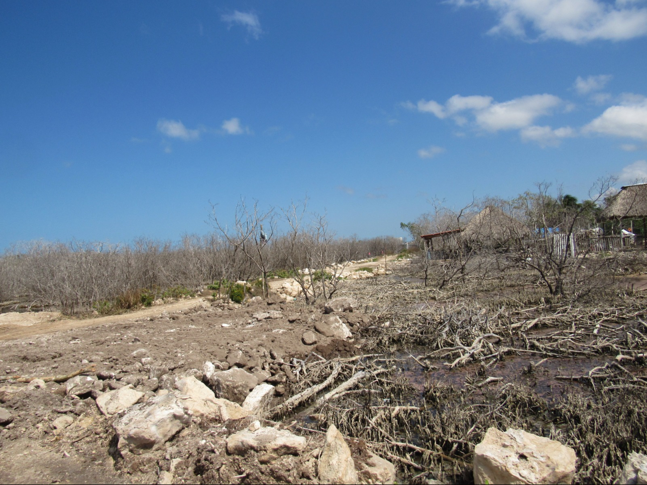La expansión hotelera y la venta ilegal de tierras afectan gravemente al medio ambiente