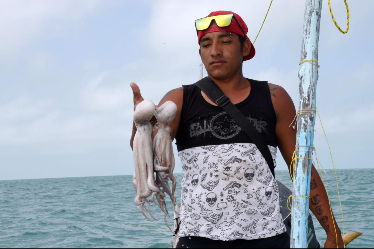 La pesca ilegal y los contaminantes industriales ponen en jaque al Golfo de México