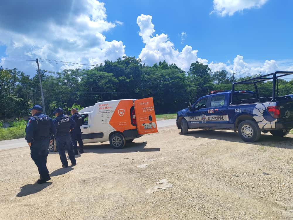 Presunto secuestro virtual en la colonia Emiliano Zapata de Playa del Carmen causa movilización policiaca