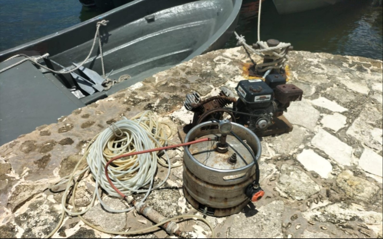 Pulpo y cazón contaminados con arsénico, plomo y mercurio en Ciudad del Carmen