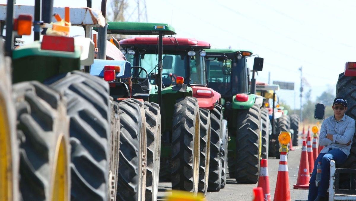 Los agriculto buscarán establecer una mesa de negociación con industriales del maíz, con el objetivo de conseguir un excedente adicionalres Los agriculto buscarán establecer una mesa de negociación con industriales del maíz, con el objetivo de conseguir un excedente adicionalres