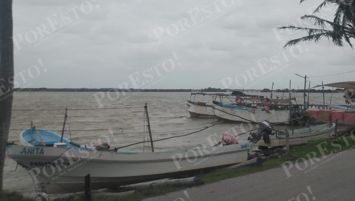 Los trabajadores del mar señalaron que Sabancuy depende casi totalmente de la pesca. Los trabajadores del mar señalaron que Sabancuy depende casi totalmente de la pesca.