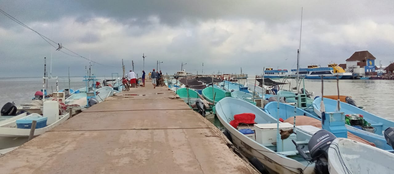 Un funcionario dijo que el sector no ha logrado captar recursos