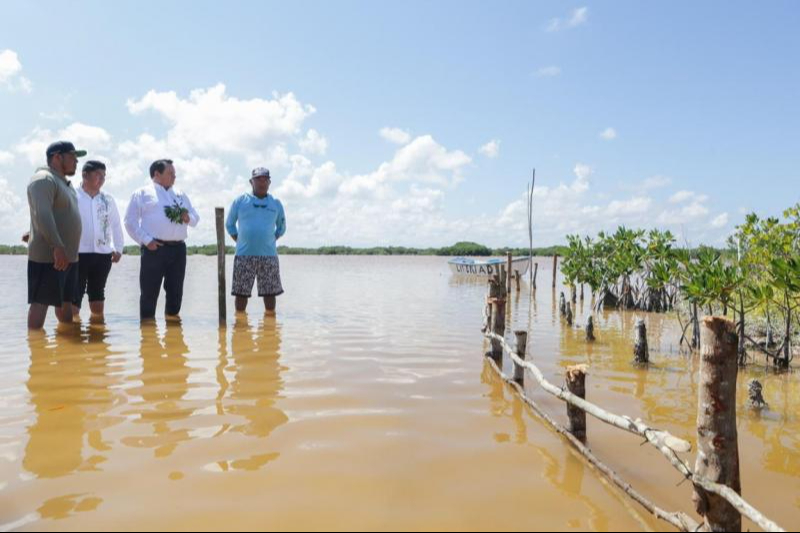 Gobierno de Yucatán invertirá 22 mdp en la recuperación de los ecosistemas costeros
