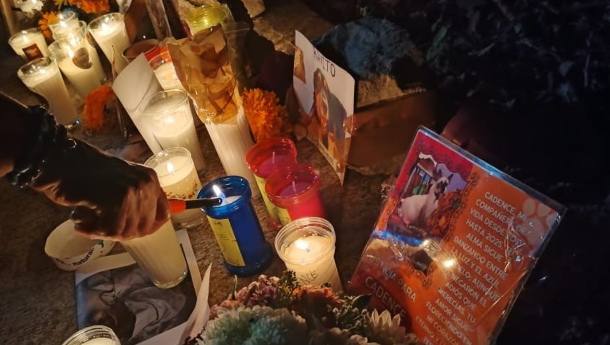 Afectados por caso Xibalbá se organizan para salir a marchar