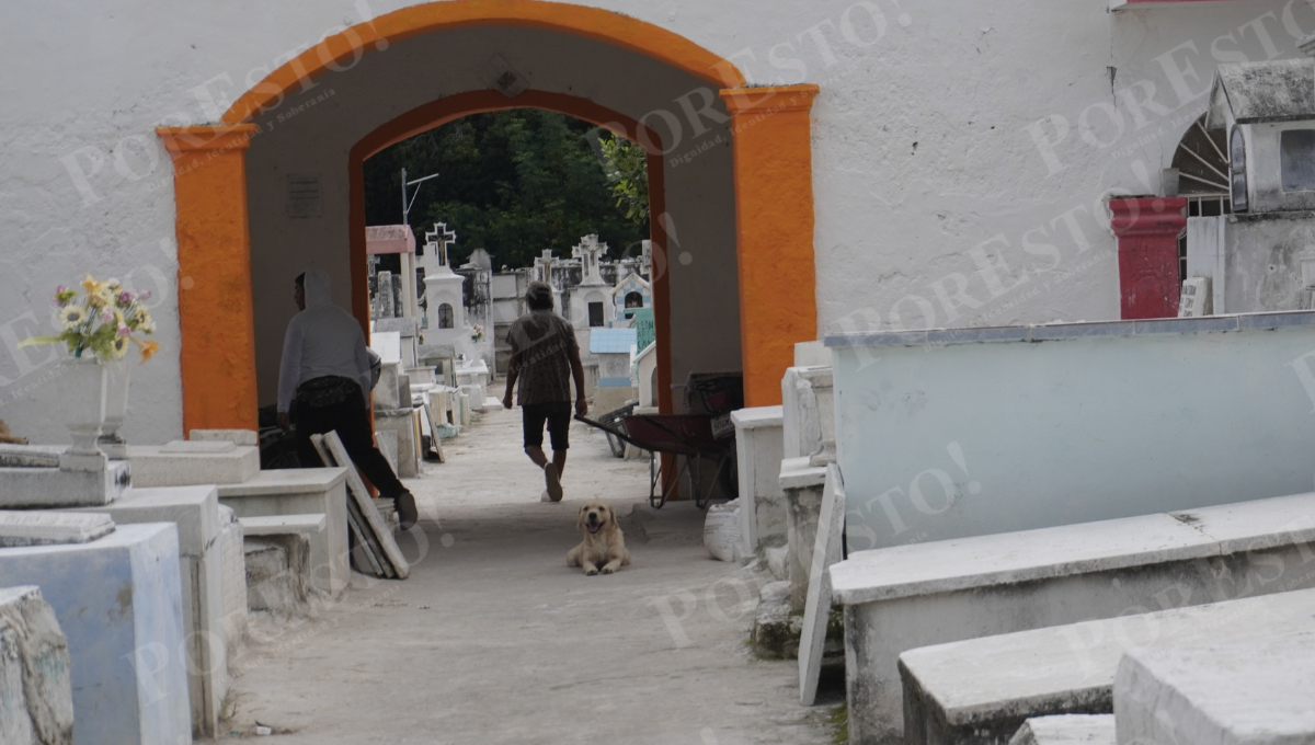 “Peluche” es el nuevo “sepulturero” en el cementerio de Santa Lucía. “Peluche” es el nuevo “sepulturero” en el cementerio de Santa Lucía.