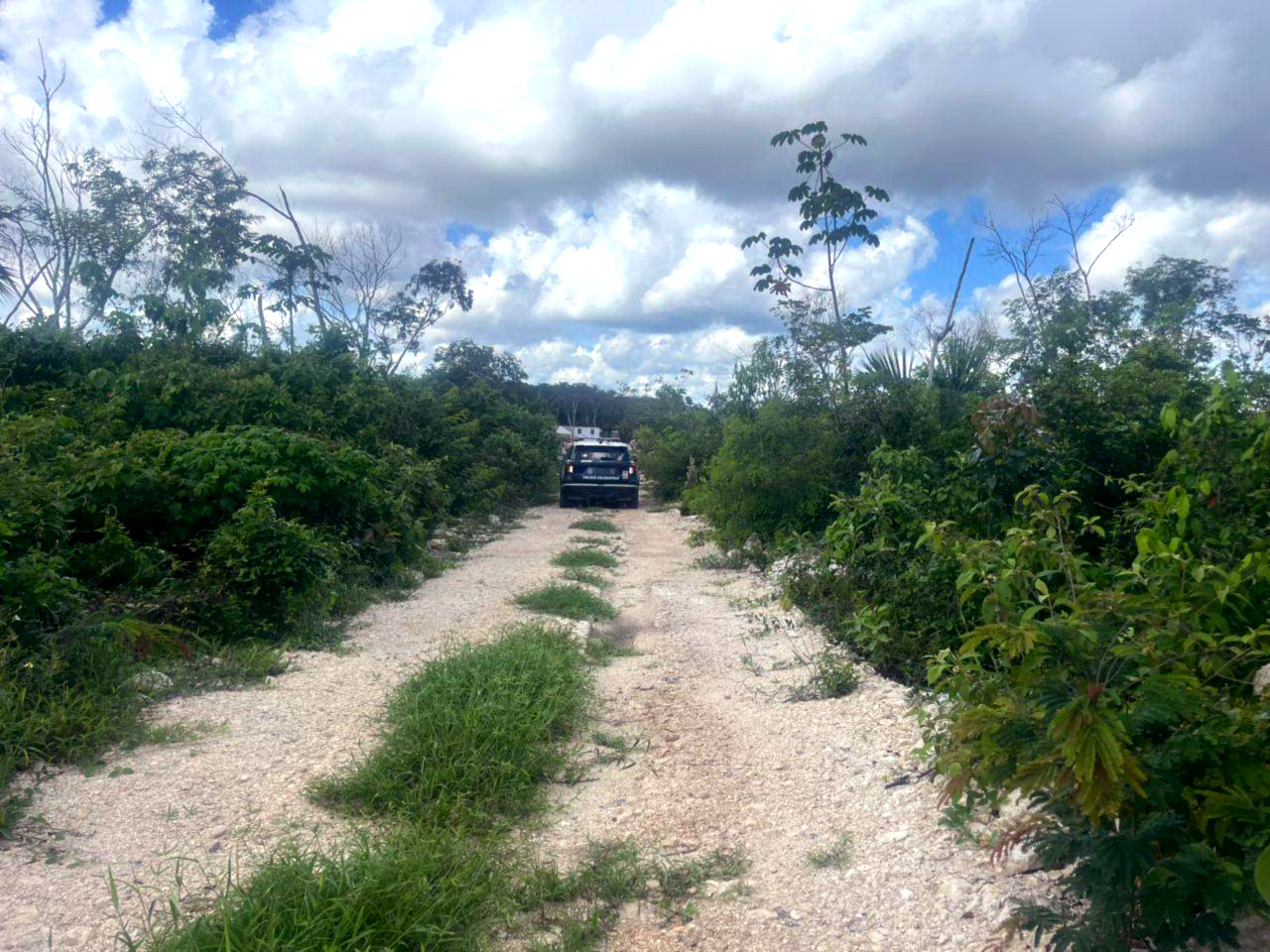 Cinco disparos se escuchan en Los Pájaros; policía encuentra casquillos pero no víctimas
