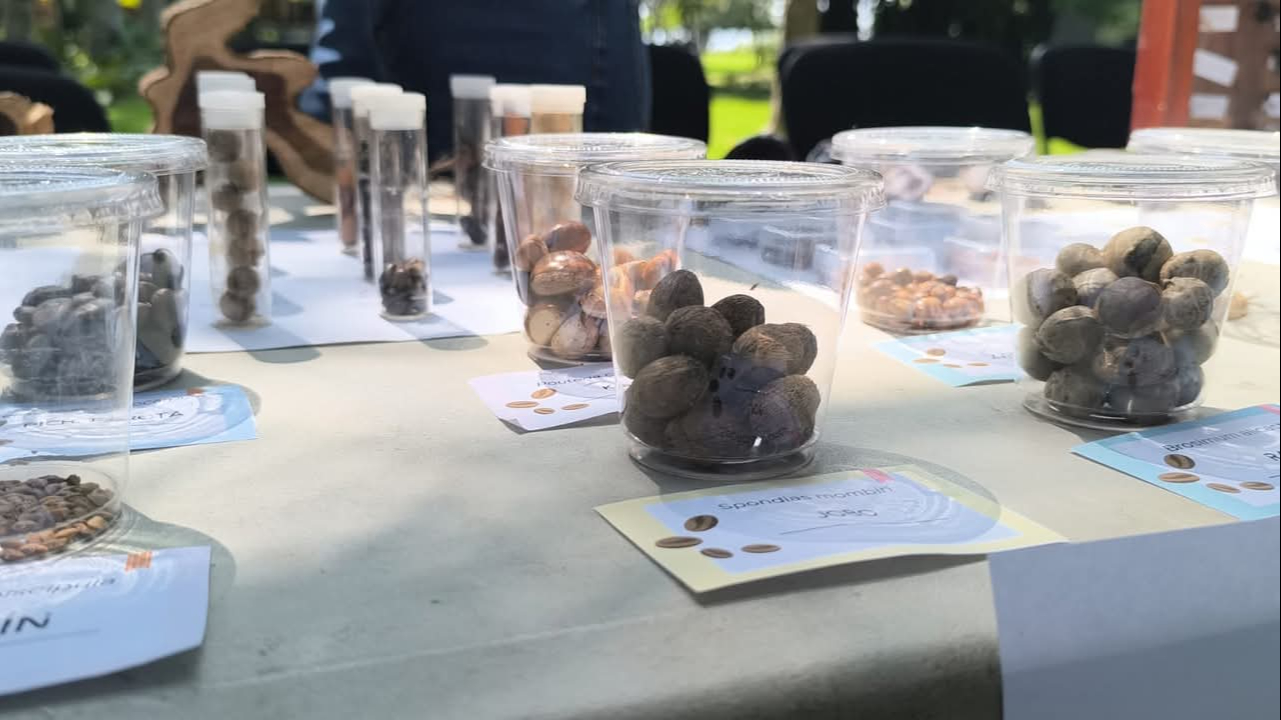 El jardín abre fines de semana, ofreciendo talleres y cursos para la comunidad, fortaleciendo la participación social, especialmente con vecinos de la colonia 23 de Julio.