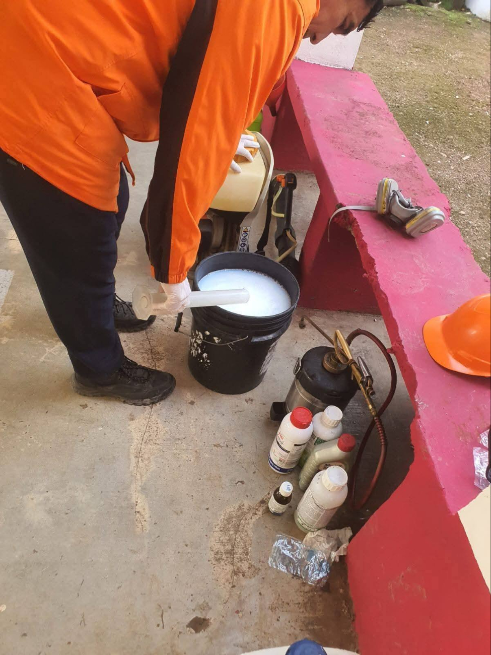 Evacúan estudiantes por plaga de garrapatas en secundaria de Chetumal