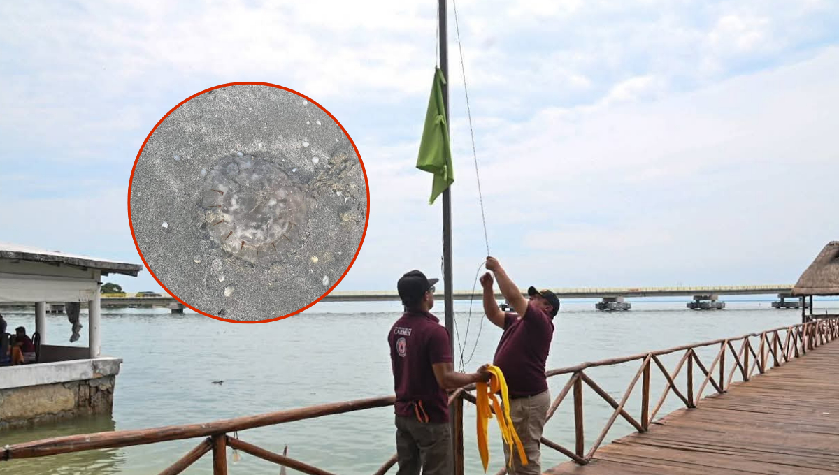 La presencia de “agua mala” llevó a Protección Civil a colocar banderas preventivas en la Playa Inclusiva de la Puntilla, Ciudad del Carmen