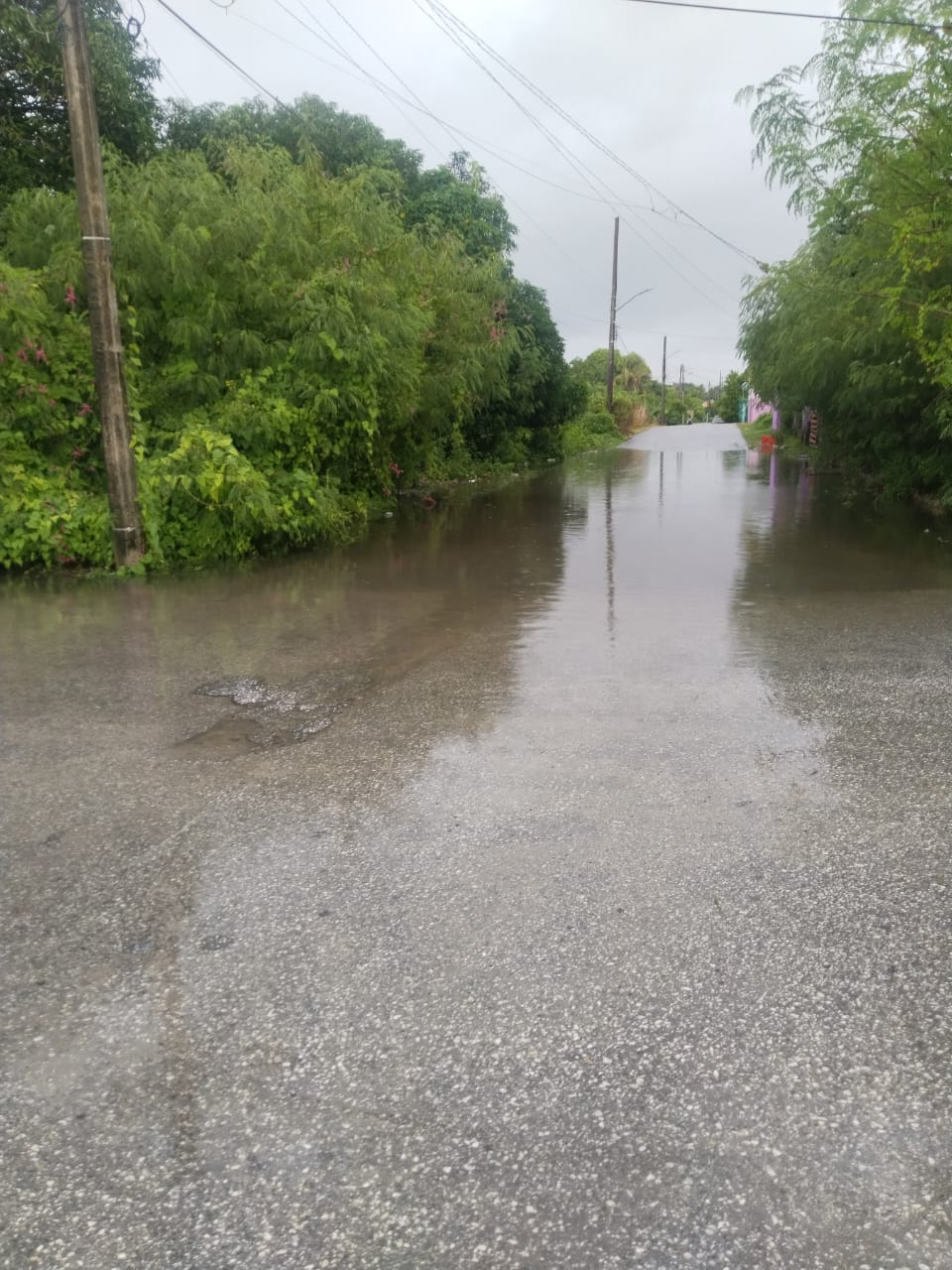 Los vecinos aseguran que cada lluvia fuerte provoca los mismos daños.