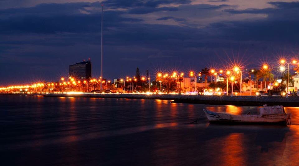 Lugares ideales para verla: Edzná, Malecón de Campeche, Champotón, Seybaplaya, Sabancuy, Hopelchén y Calakmul.