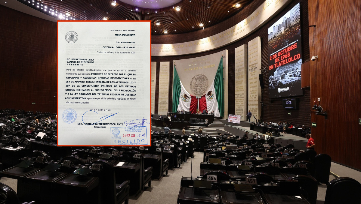 Minuta de reformas a la Ley de Amparo llega a la Cámara de Diputados Minuta de reformas a la Ley de Amparo llega a la Cámara de Diputados
