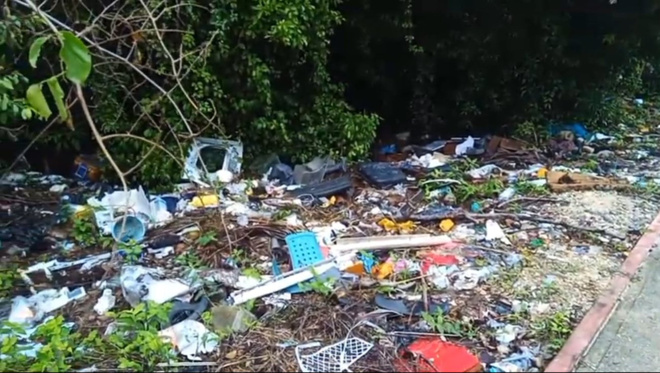 Basurero junto al Centro de Bienestar Animal en Cancún sigue siendo ignorado