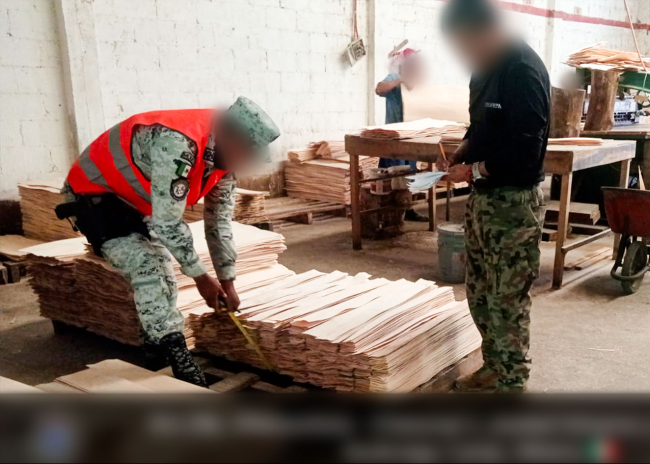 Profepa clausuró temporalmente un aserradero en Escárcega, Campeche.