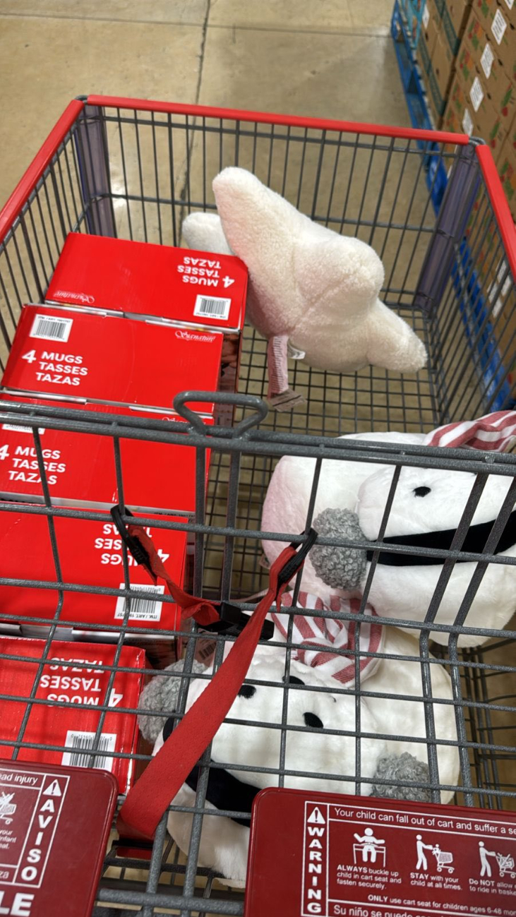 Almohadas y tapetes volaron en el Costco de Mérida
