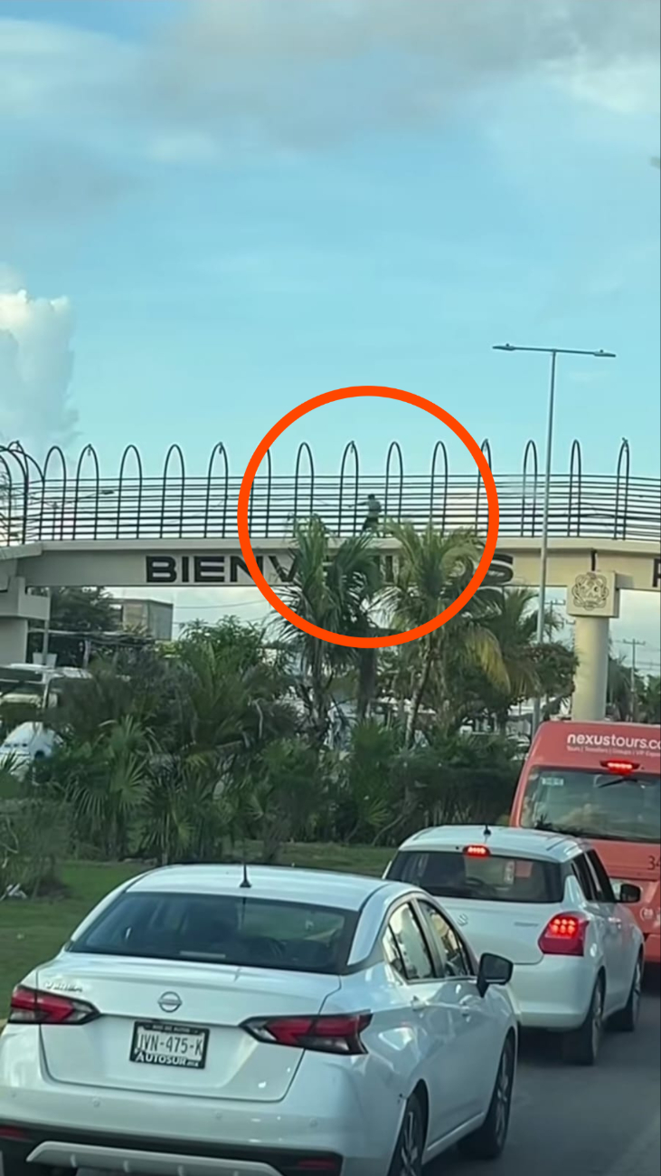 “¿Rocky eres tú?" Captan a joven ‘haciendo sombra’ en pleno puente peatonal de Playa del Carmen