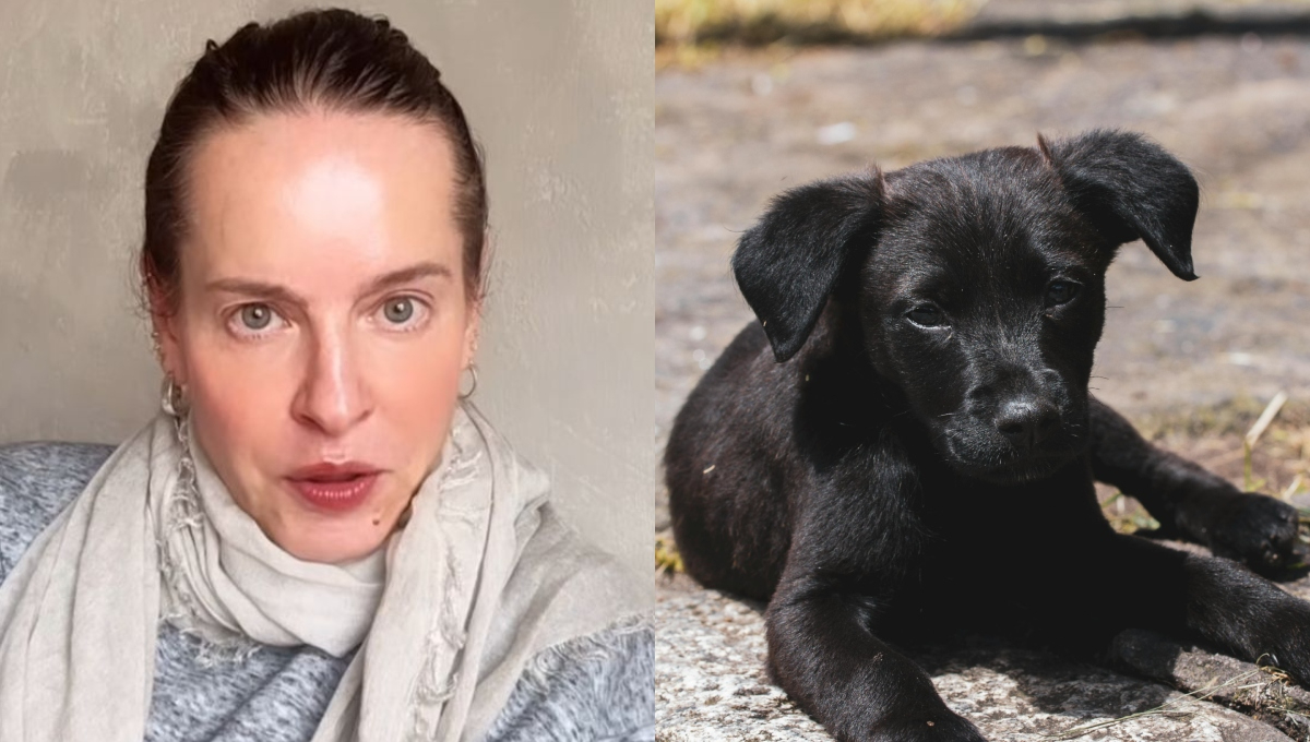 Platas aseguró que la clínica intentó cobrar una cifra exorbitante por practicarle dos cirugías a la perrita