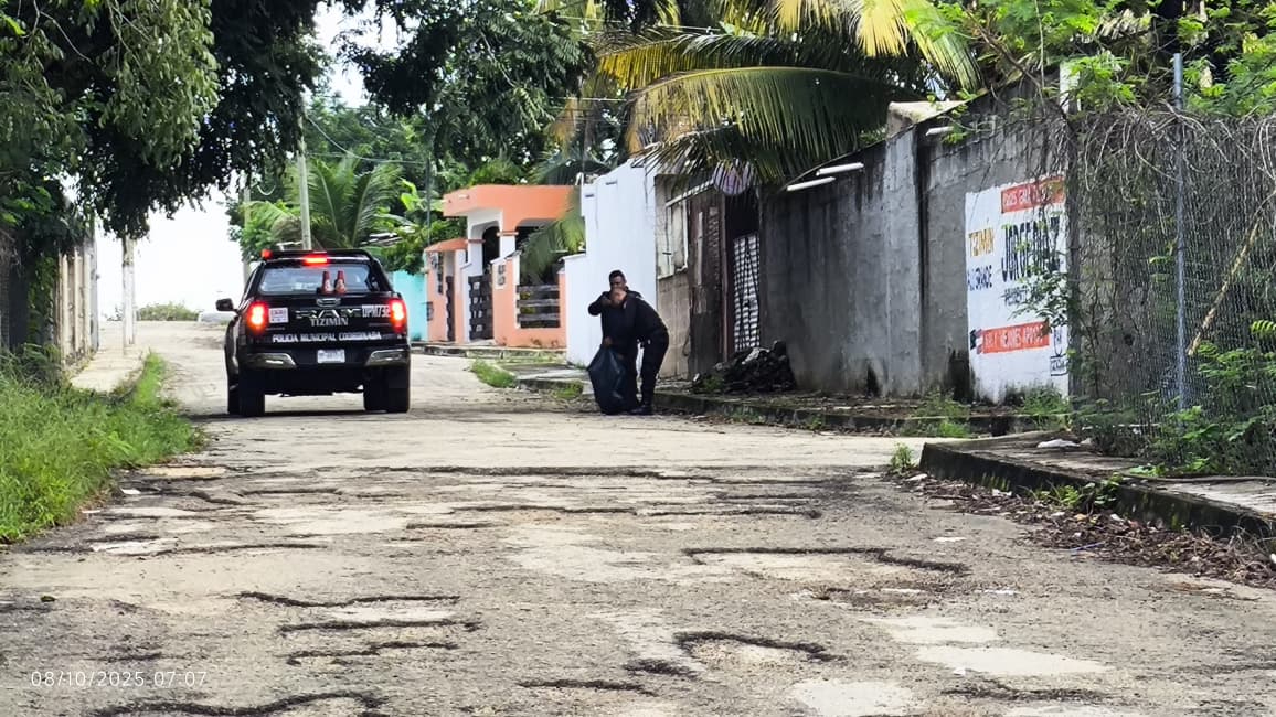 Reportan a cinco lomitos muertos, presuntamente envenenados en Tizimín Reportan a cinco lomitos muertos, presuntamente envenenados en Tizimín