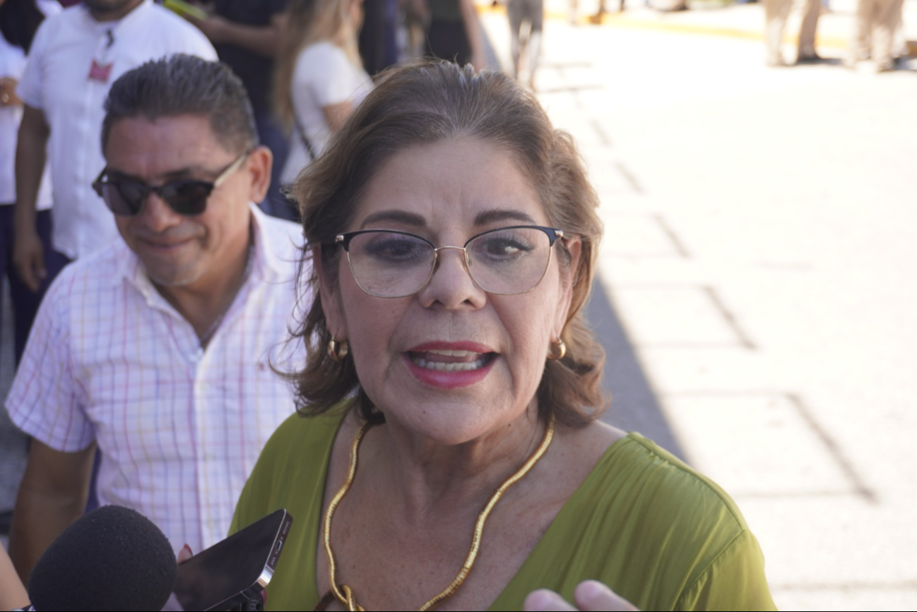 Secretaría de Gobierno, Elisa Hernández Romero