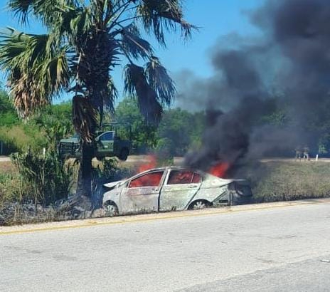 El vehículo salió de la carretera, chocó contra una palmera y estalló en llamas. El vehículo salió de la carretera, chocó contra una palmera y estalló en llamas.