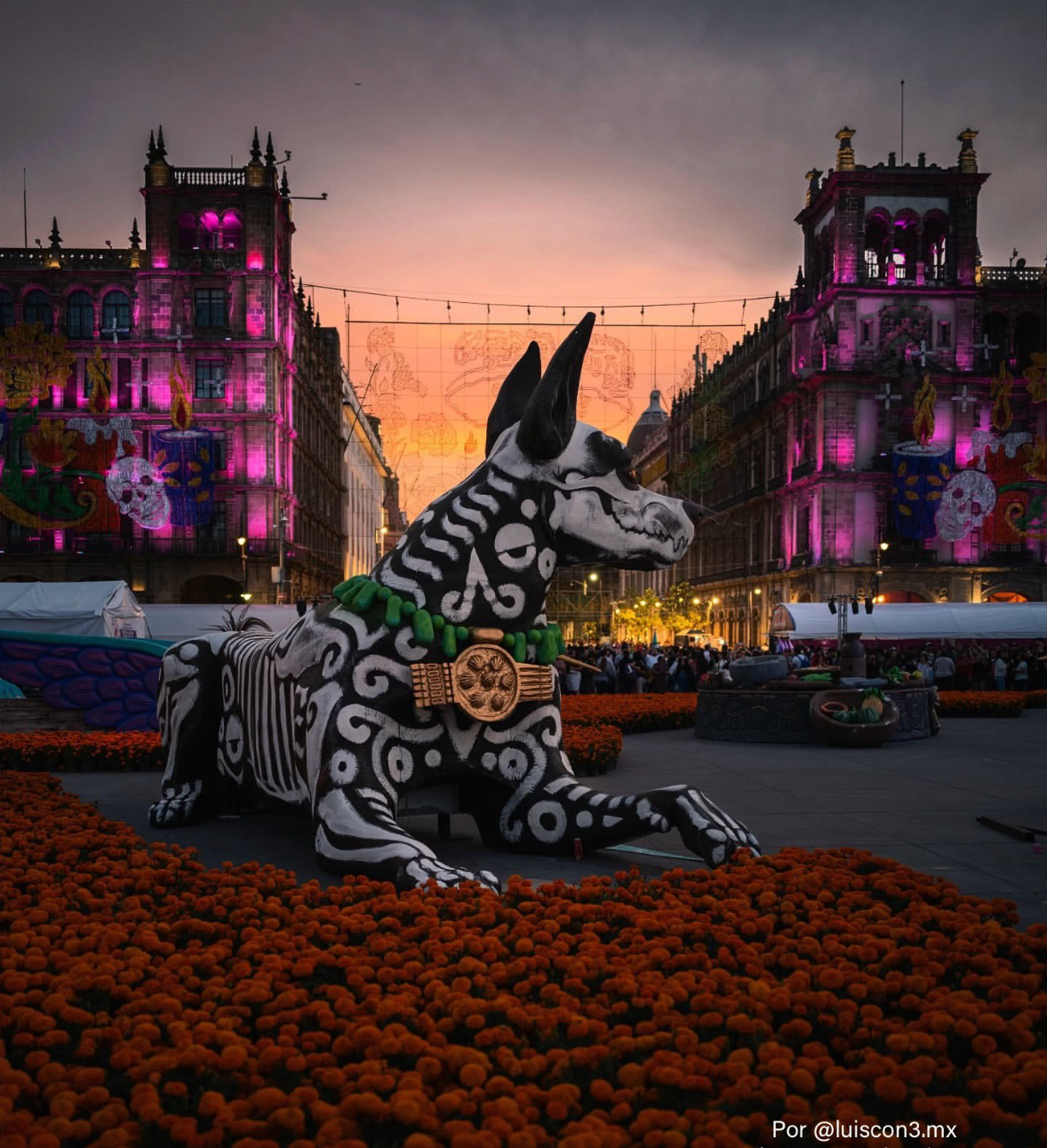 Las megaofrendas en el Zócalo de la CDMX están listas para recibir al Desfile de Día de Muertos.