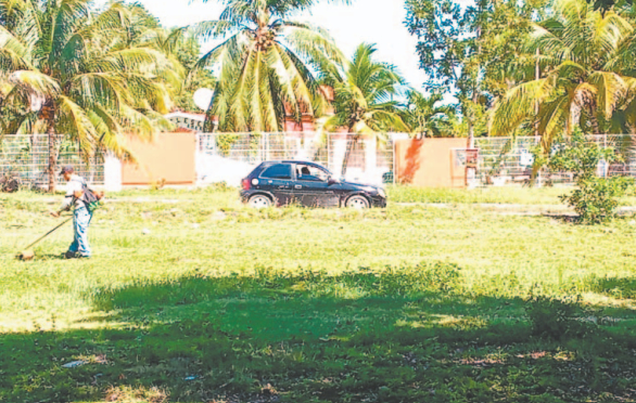 Trabajadores optan por sólo laborar durante los horarios en los que aún hay sol. Trabajadores optan por sólo laborar durante los horarios en los que aún hay sol.