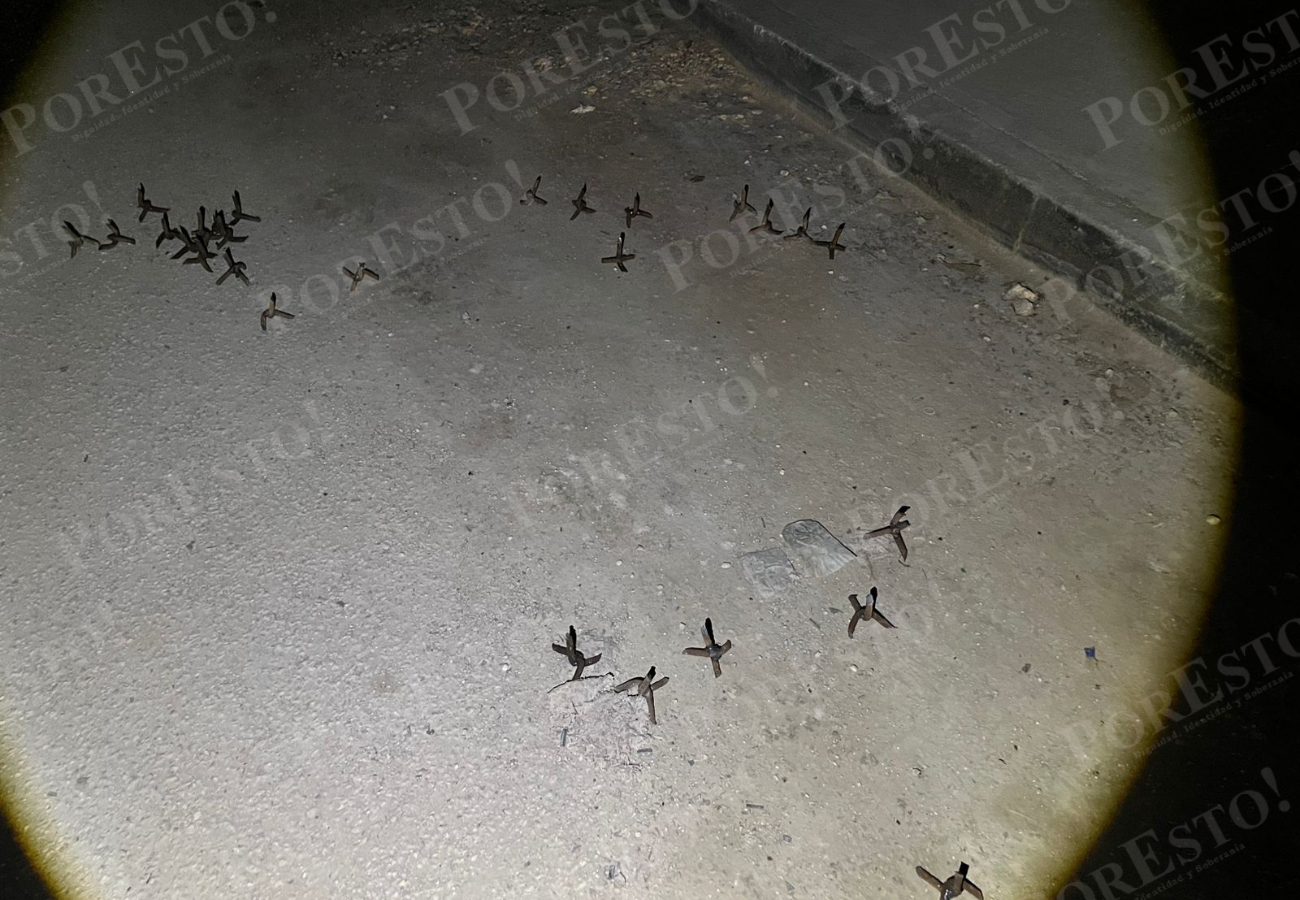 Ante la magnitud del hallazgo, la zona fue acordonada y se dio aviso a la Fiscalía General del Estado (FGE)