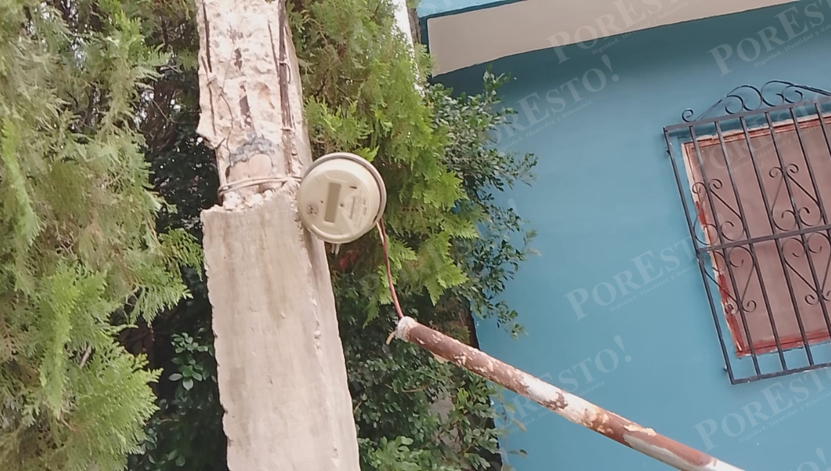 El gajo derribó cables y mufas, dejando sin energía eléctrica a tres familias del barrio de Guadalupe.