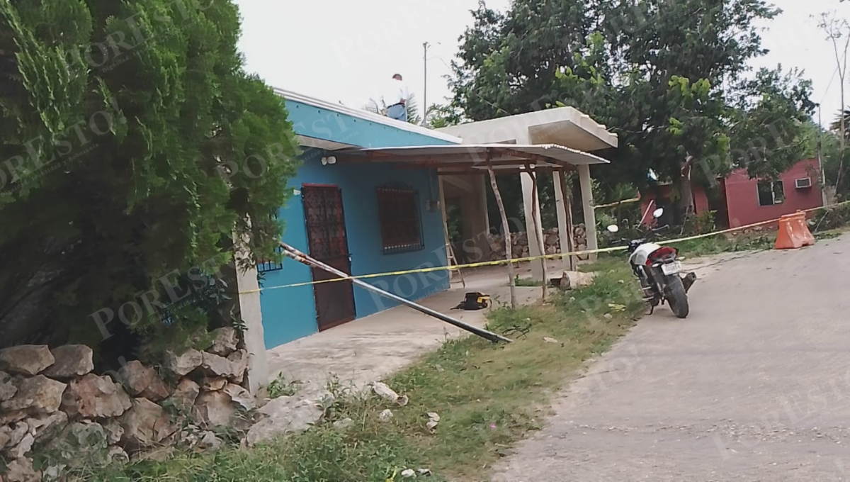 Fuertes vientos del frente frío número 13 “Che Chen” provocaron la caída de una rama de chaká en Dzitbalché, Campeche.