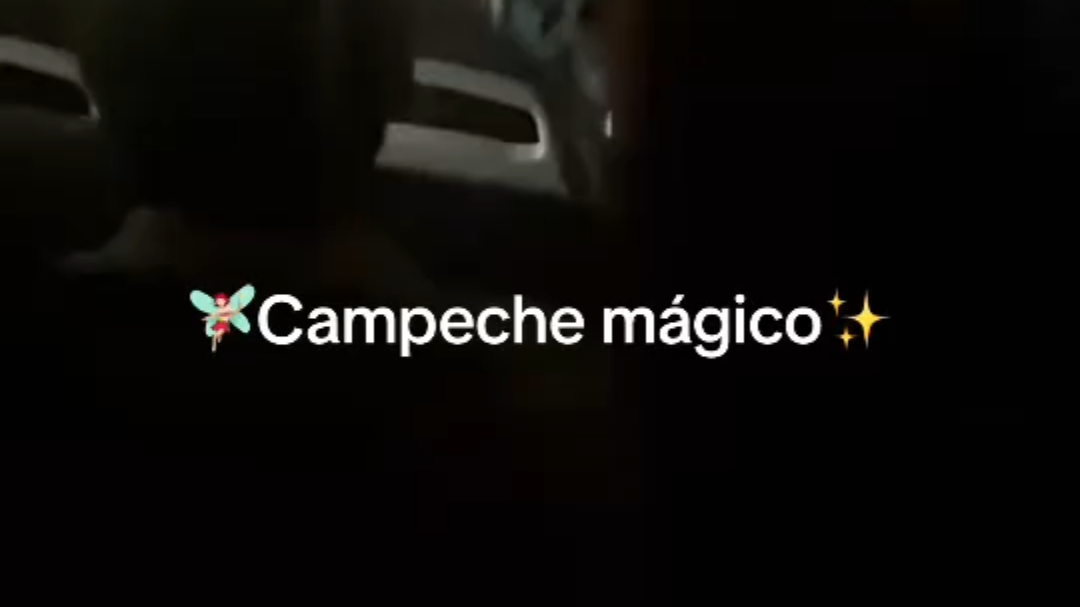 El Ko’ox no solo transporta… también provoca carcajadas y corajes