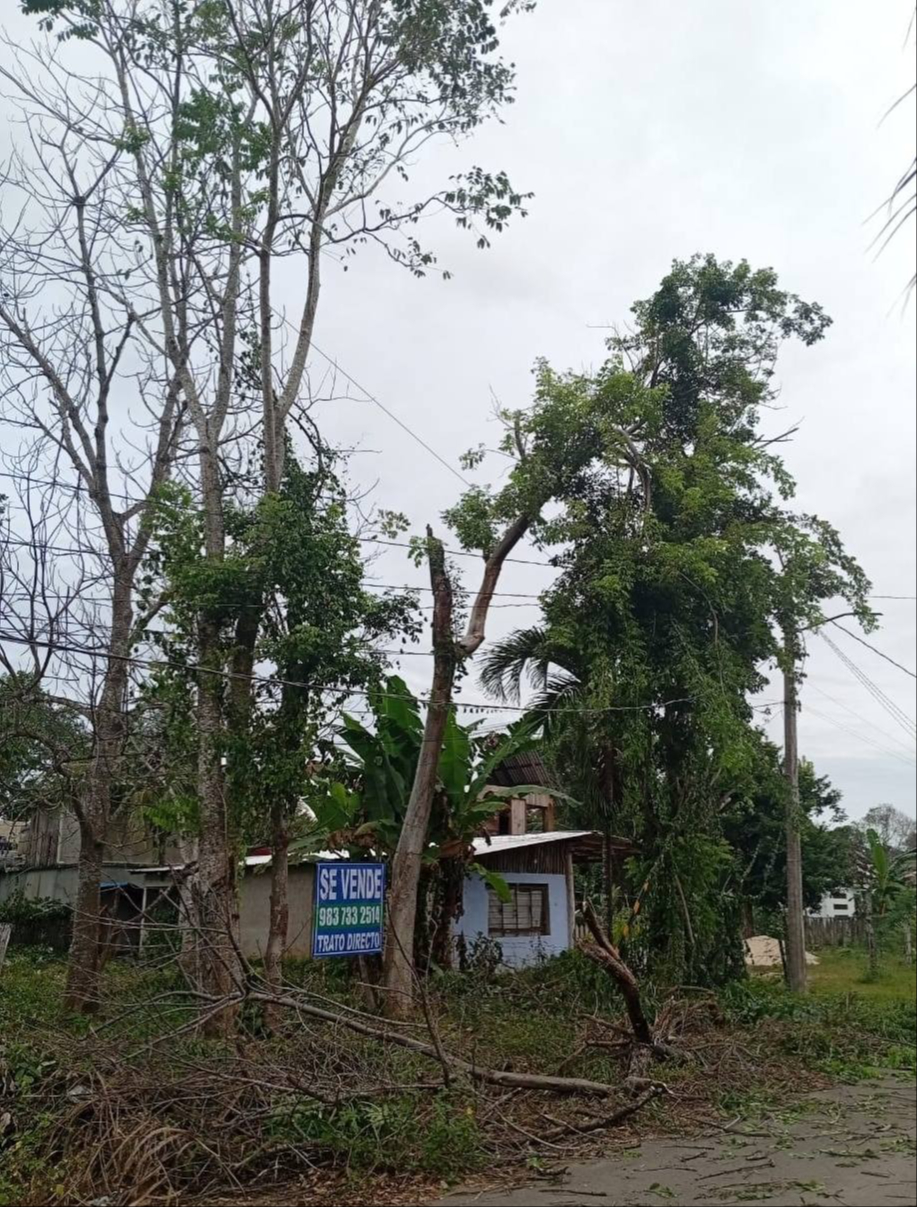 Habitantes se ha visto afectados ante la falta de luz, ya que sus actividades diarias se han visto afectadas