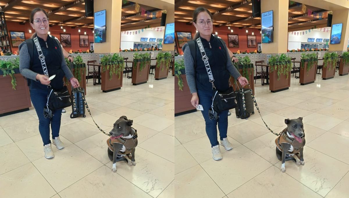 Angelina Praga arribó de la  capital del país con su pitbull.