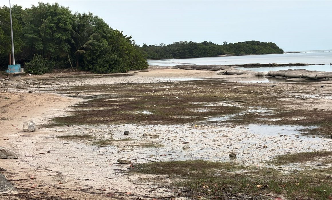 Este suceso se debe a los vientos del norte, característicos de los frentes fríos, que empujan el agua hacia mar adentro