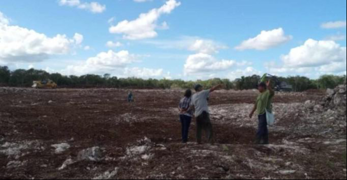 La antigua ciudad maya ubicada en el municipio de Kinchil resiste frente al avance de una granja industrial de Crío