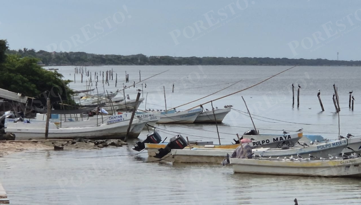 Las actividades pesqueras en el puerto de Champotón se mantienen semiparalizadas por el mal estado del mar.