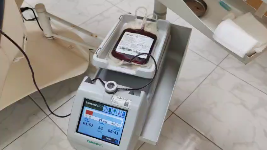 Los jóvenes también cumplieron con su servicio comunitario a través de esta actividad.