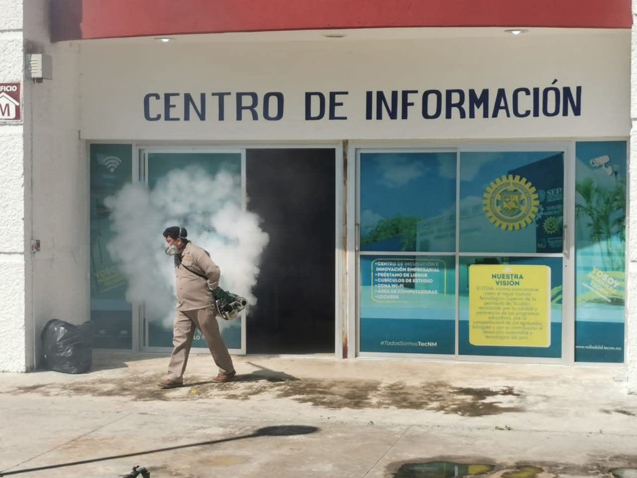 Los operativos se realizan en más de una ocasión por la alta proliferación del insecto