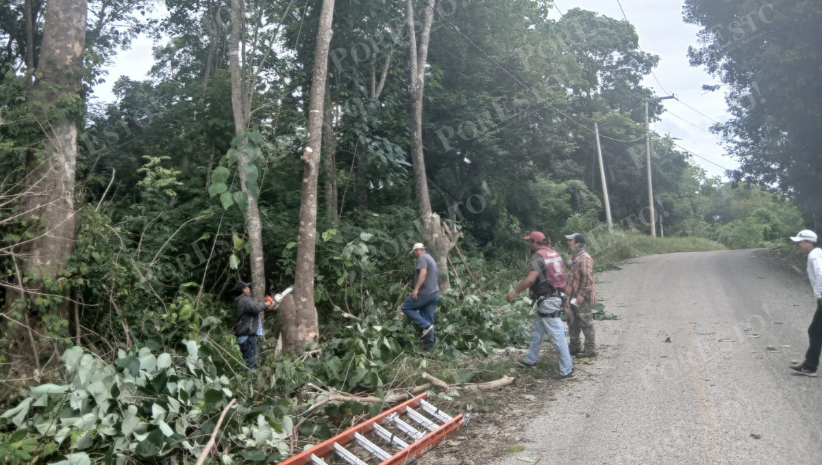 Previenen corto circuito en comunidad rural de Campeche