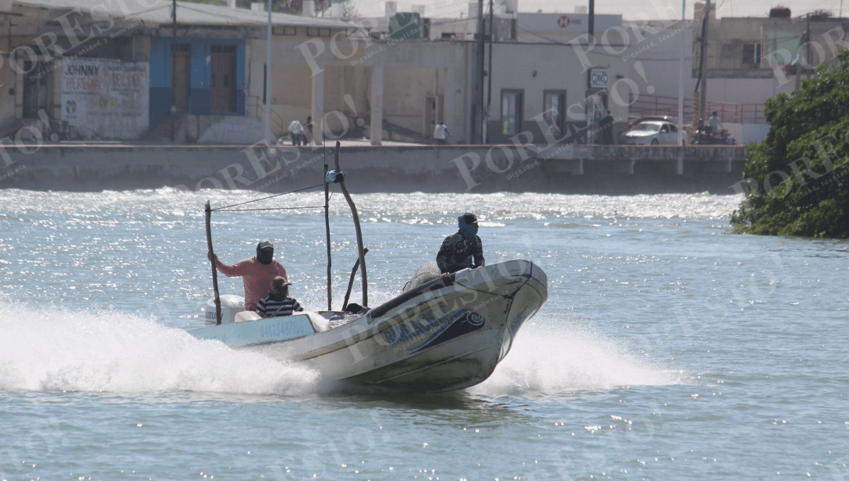 Crisis pesquera en Champotón tras el norte: pargo y corvina no llegaron al litoral