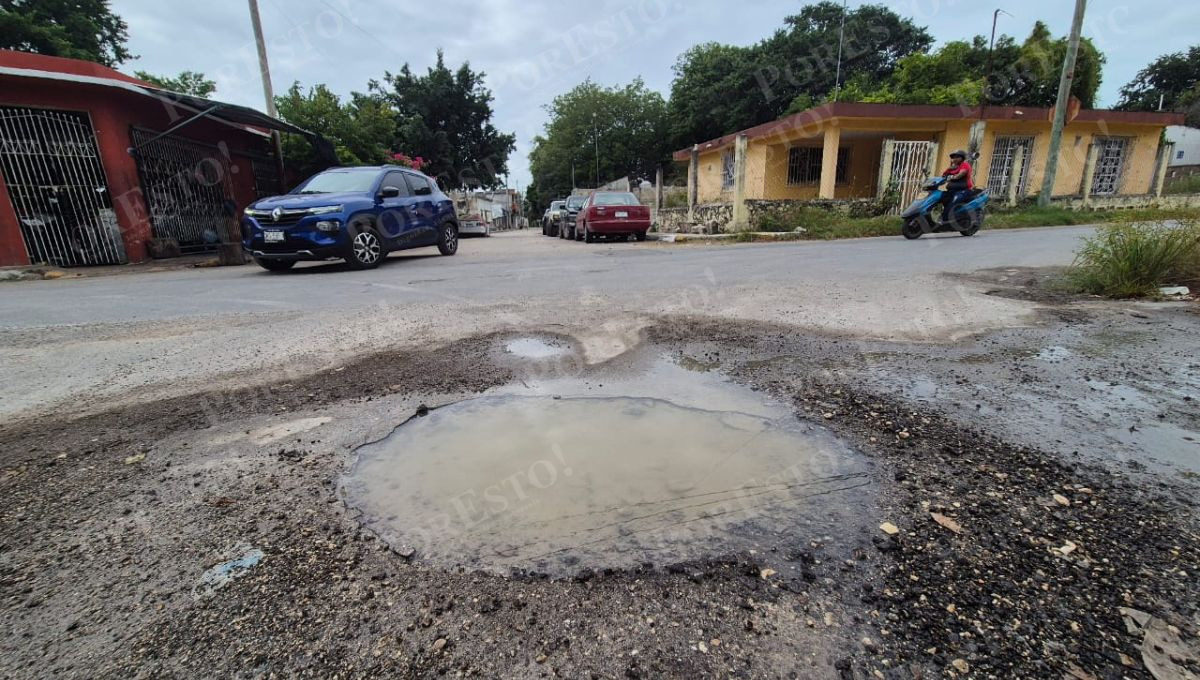 Peligro vial en colonia Las Mercedes: vecinos alertan sobre bache y maleza