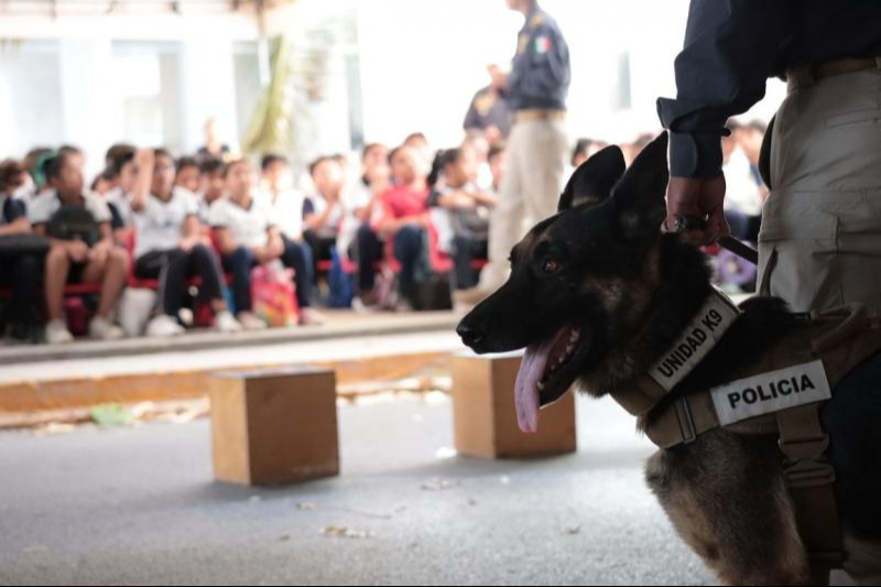 Yucatán impulsa especialización de Unidad K-9 en detección de explosivos en Texas